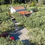 Little Stone House بيت للعطل أوروبيتش